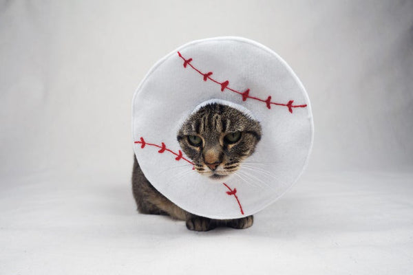 Baseball Costume for Cats - Etsy