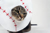 Baseball Costume for Cats - Etsy