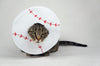 Baseball Costume for Cats - Etsy