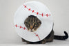 Baseball Costume for Cats - Etsy