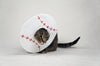 Baseball Costume for Cats - Etsy