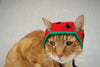 Watermelon Hat for Cats - Etsy