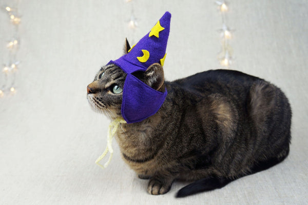 Wizard Hat for Cats- Glow in the Dark! - Etsy