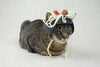 Spaghetti and Meatballs Hat for Cats - Etsy