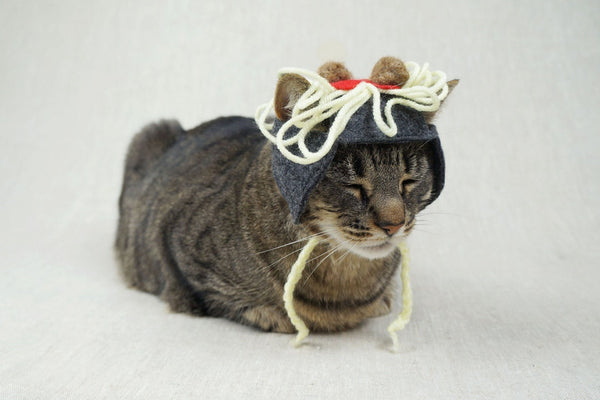 Spaghetti and Meatballs Hat for Cats - Etsy