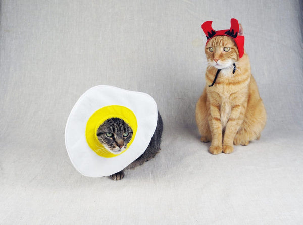 Deviled Egg Couples Costume for Cats