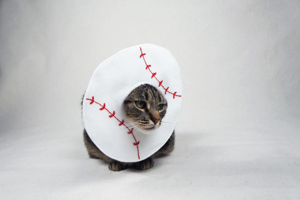 Baseball Costume for Cats - Etsy